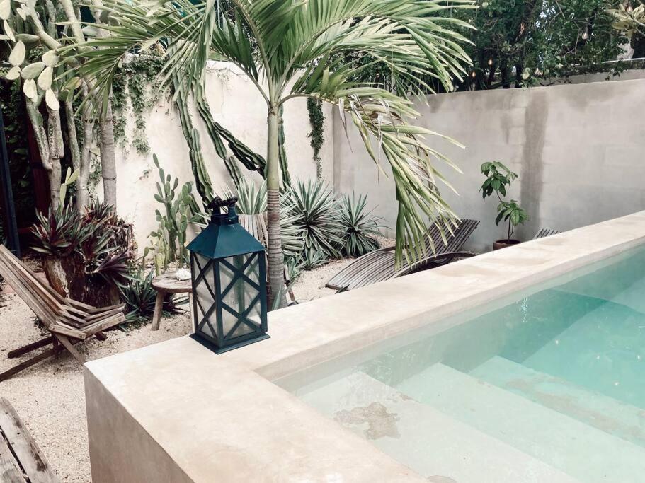 Hotel Boutique Kaa メリダ エクステリア 写真