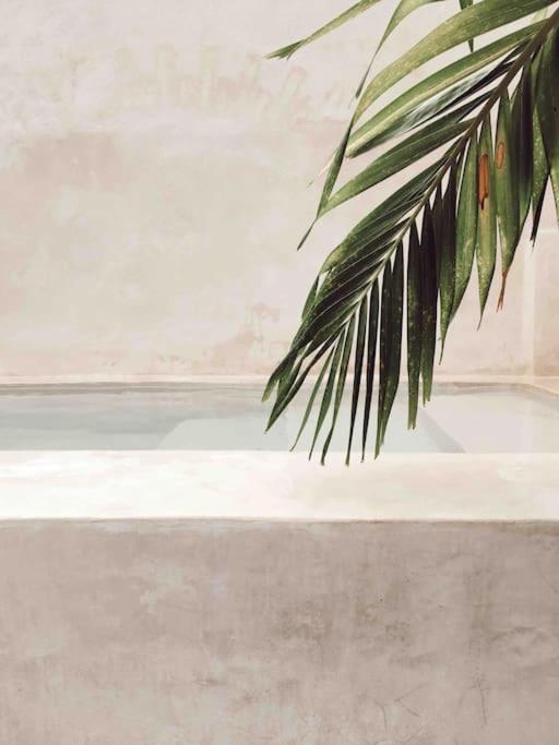 Hotel Boutique Kaa メリダ エクステリア 写真