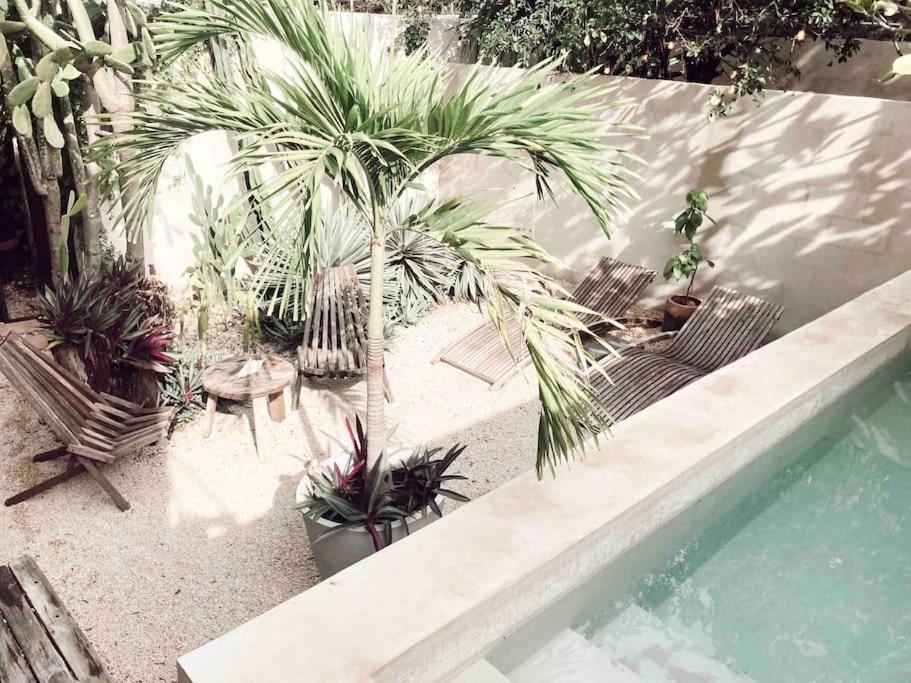 Hotel Boutique Kaa メリダ エクステリア 写真